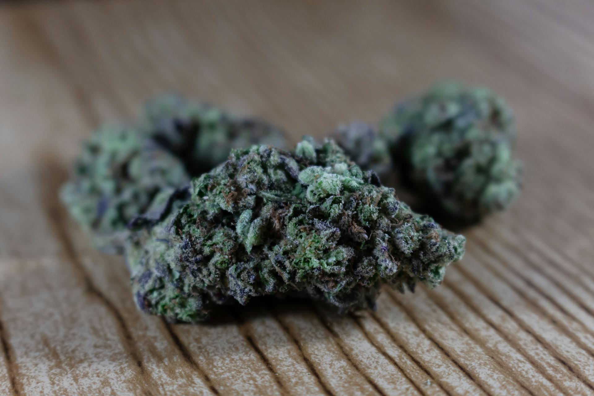 Cured cannabis flower nugs in a sealed glass storage jar — fresh-stocked rotation on the Purple Buds Jackson Heights sales floor