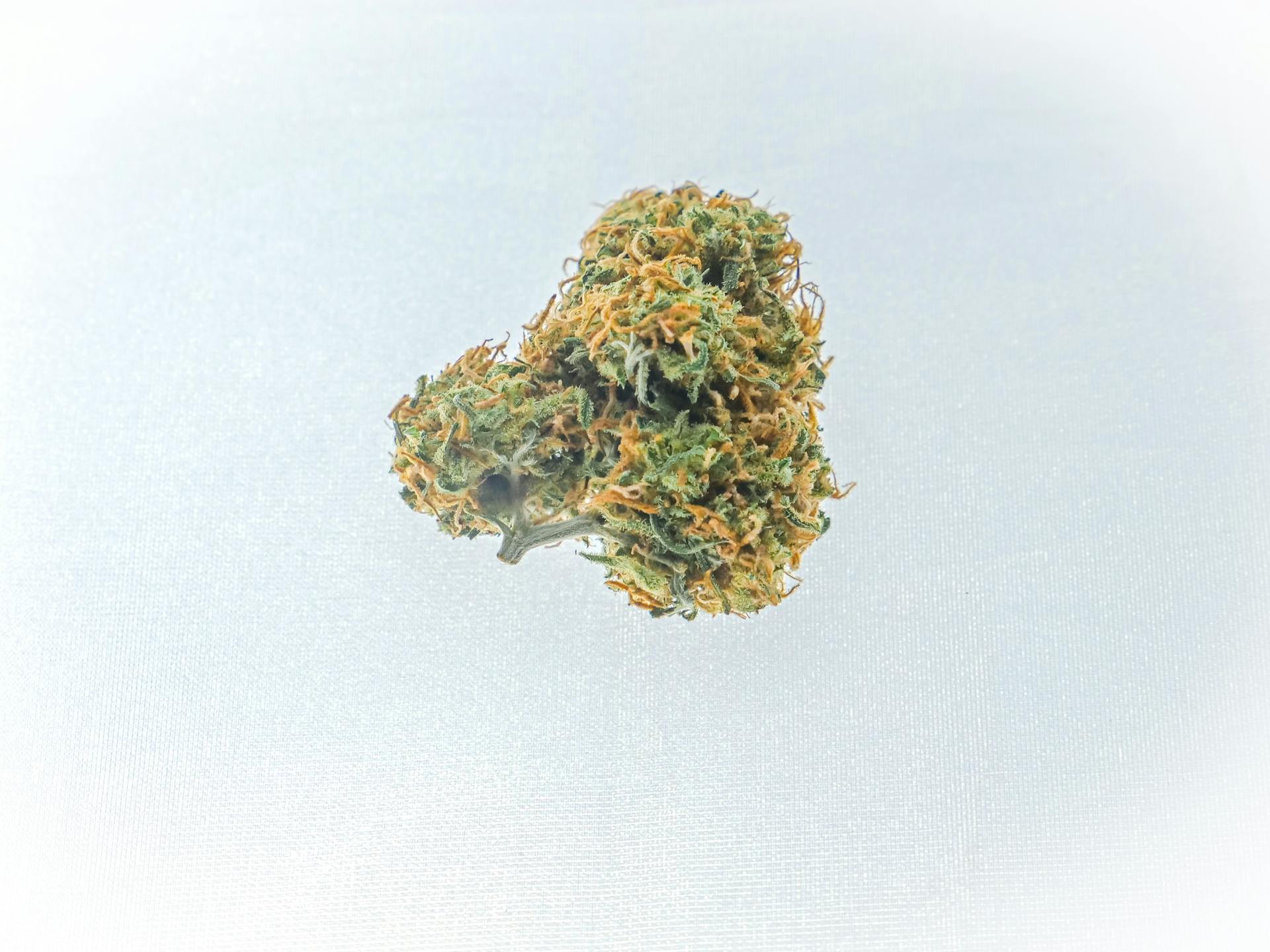Bright, welcoming Purple Buds Dispensary interior — designed to walk first-time legal cannabis customers through the menu in Jackson Heights, Queens
