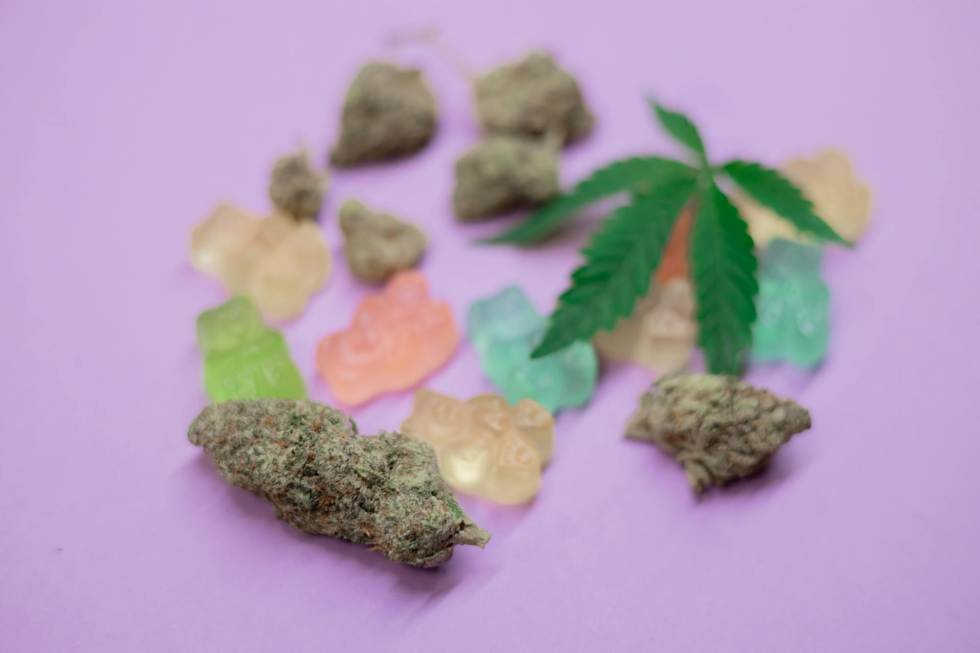 Premium cannabis flower and edibles at Purple Buds Dispensary